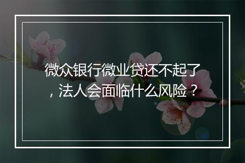 微众银行微业贷还不起了，法人会面临什么风险？
