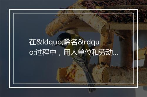 在“除名”过程中，用人单位和劳动者应该注意些什么