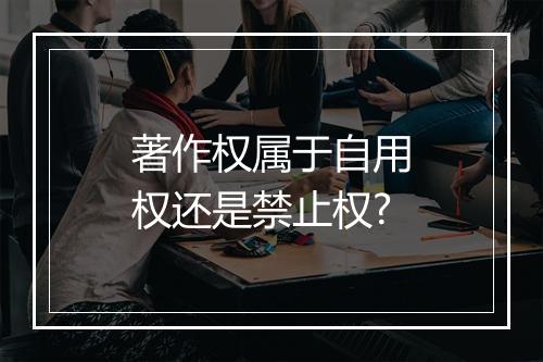 著作权属于自用权还是禁止权?