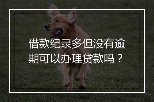 借款纪录多但没有逾期可以办理贷款吗？