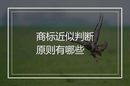 商标近似判断原则有哪些
