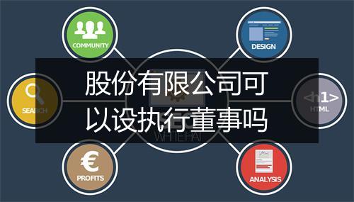 股份有限公司可以设执行董事吗