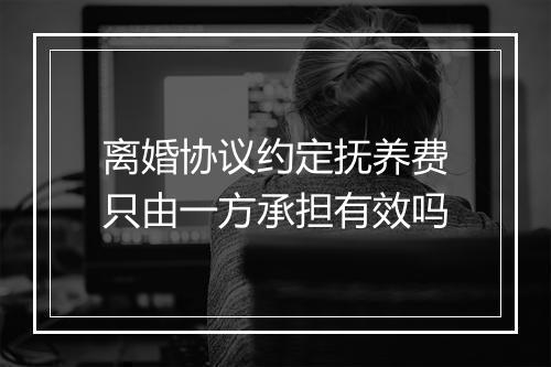 离婚协议约定抚养费只由一方承担有效吗