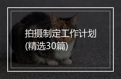 拍摄制定工作计划(精选30篇)