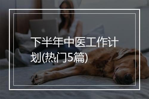 下半年中医工作计划(热门5篇)