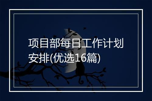 项目部每日工作计划安排(优选16篇)