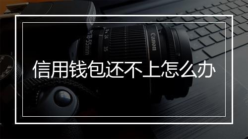 信用钱包还不上怎么办