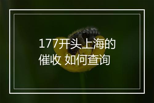 177开头上海的催收 如何查询