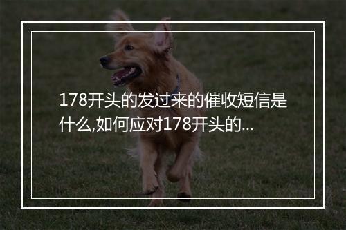 178开头的发过来的催收短信是什么,如何应对178开头的催收短信