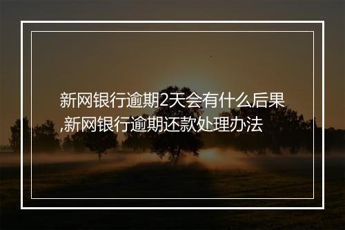 新网银行逾期2天会有什么后果,新网银行逾期还款处理办法