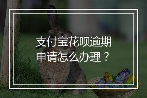 支付宝花呗逾期申请怎么办理？