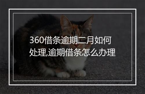 360借条逾期二月如何处理,逾期借条怎么办理