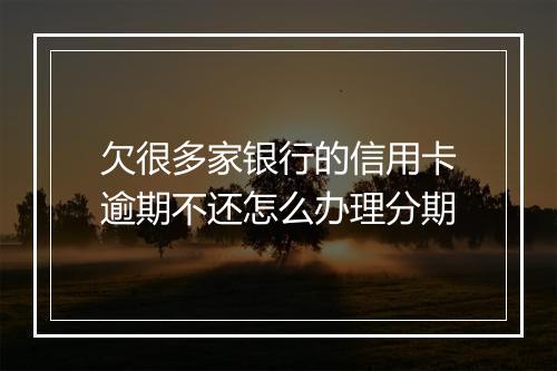 欠很多家银行的信用卡逾期不还怎么办理分期