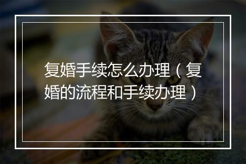复婚手续怎么办理（复婚的流程和手续办理）