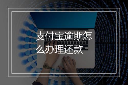 支付宝逾期怎么办理还款