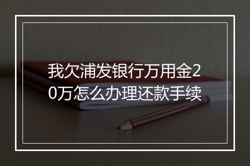 我欠浦发银行万用金20万怎么办理还款手续