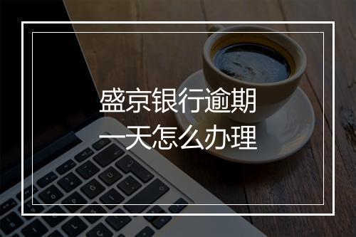 盛京银行逾期一天怎么办理