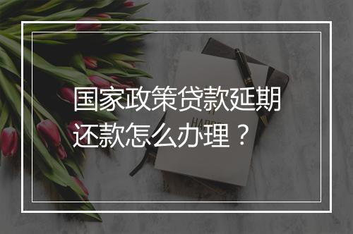 国家政策贷款延期还款怎么办理？