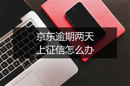 京东逾期两天上征信怎么办