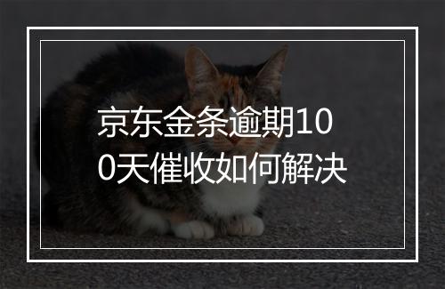 京东金条逾期100天催收如何解决