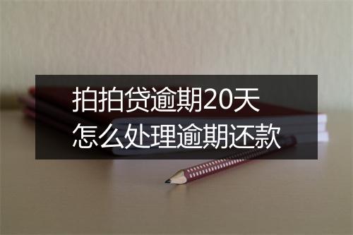 拍拍贷逾期20天怎么处理逾期还款