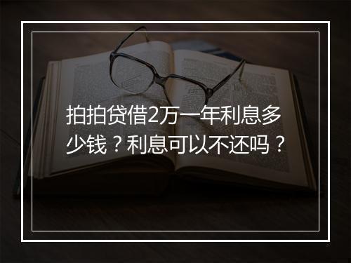 拍拍贷借2万一年利息多少钱？利息可以不还吗？