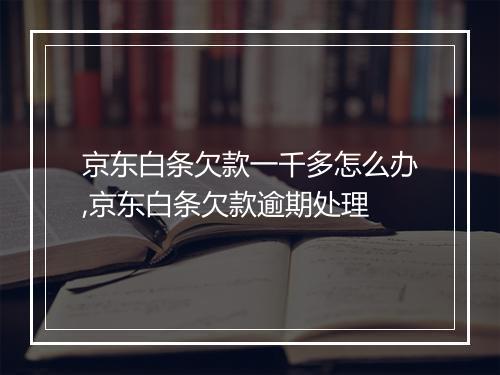 京东白条欠款一千多怎么办,京东白条欠款逾期处理
