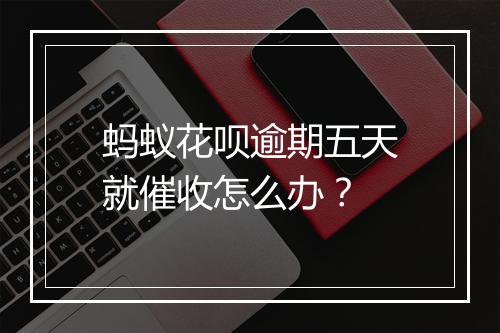 蚂蚁花呗逾期五天就催收怎么办？