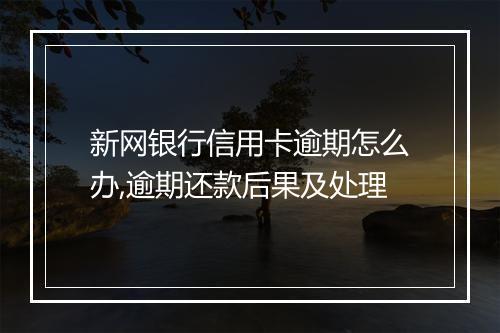 新网银行信用卡逾期怎么办,逾期还款后果及处理