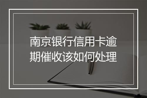 南京银行信用卡逾期催收该如何处理
