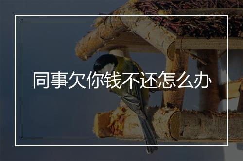 同事欠你钱不还怎么办