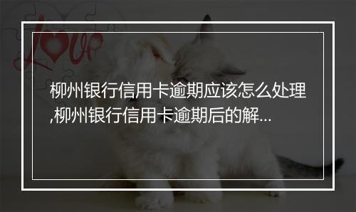 柳州银行信用卡逾期应该怎么处理,柳州银行信用卡逾期后的解决
