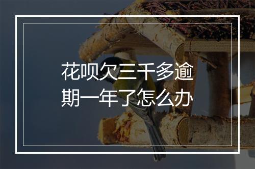 花呗欠三千多逾期一年了怎么办