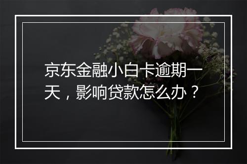 京东金融小白卡逾期一天，影响贷款怎么办？