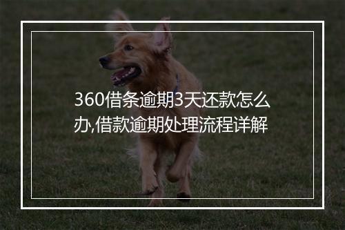 360借条逾期3天还款怎么办,借款逾期处理流程详解