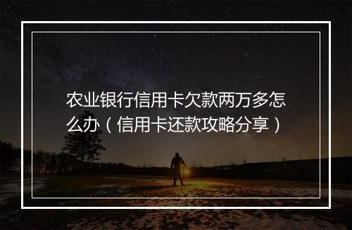 农业银行信用卡欠款两万多怎么办（信用卡还款攻略分享）