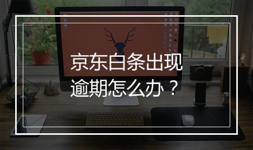 京东白条出现逾期怎么办？
