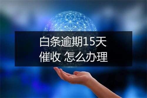 白条逾期15天催收 怎么办理
