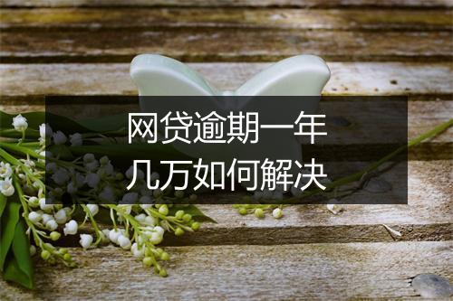 网贷逾期一年几万如何解决