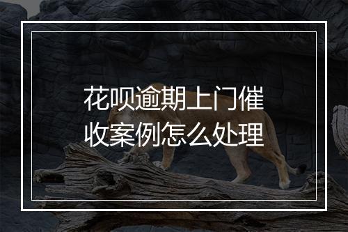 花呗逾期上门催收案例怎么处理