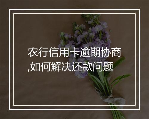 农行信用卡逾期协商,如何解决还款问题
