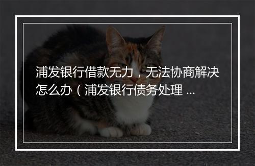 浦发银行借款无力，无法协商解决怎么办（浦发银行债务处理 ）