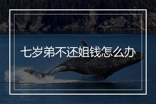 七岁弟不还姐钱怎么办