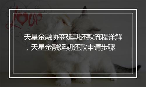 天星金融协商延期还款流程详解，天星金融延期还款申请步骤