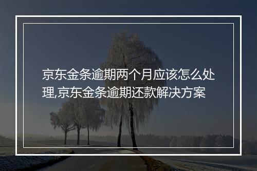 京东金条逾期两个月应该怎么处理,京东金条逾期还款解决方案