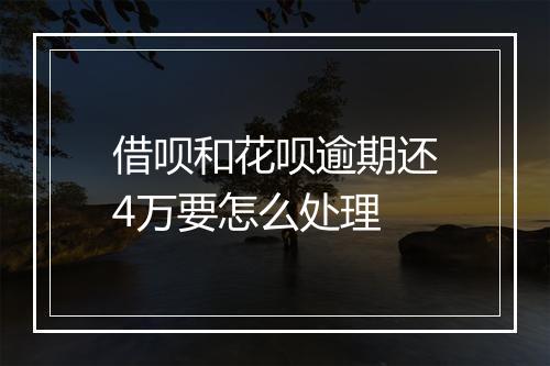 借呗和花呗逾期还4万要怎么处理