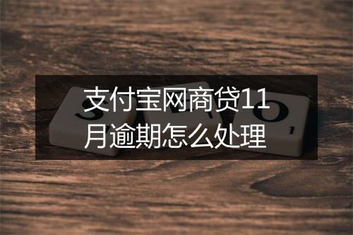 支付宝网商贷11月逾期怎么处理