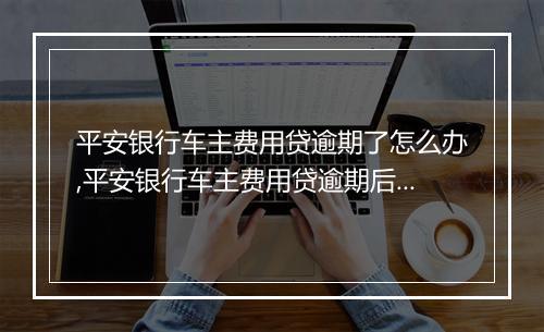 平安银行车主费用贷逾期了怎么办,平安银行车主费用贷逾期后的处理措施
