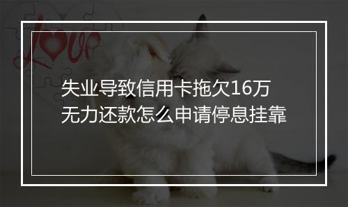 失业导致信用卡拖欠16万无力还款怎么申请停息挂靠
