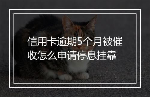 信用卡逾期5个月被催收怎么申请停息挂靠